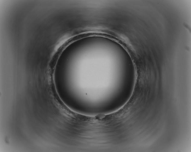 X0000097901360200803141346