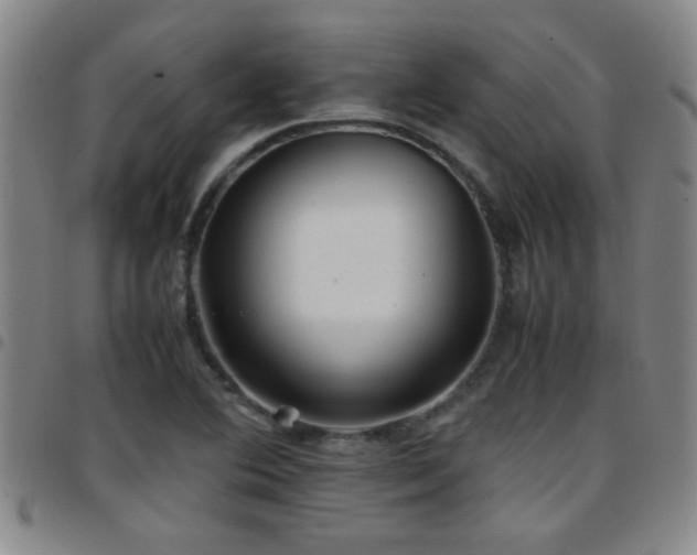 X0000097901364200803141346