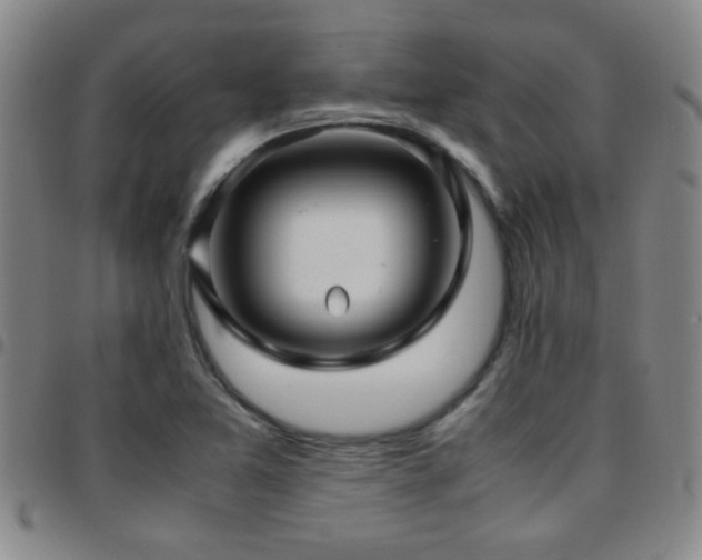 X0000097901365200803141345