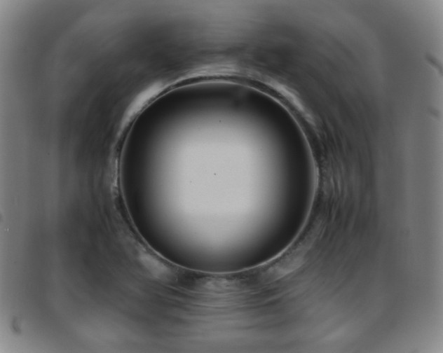 X0000097901366200803141345