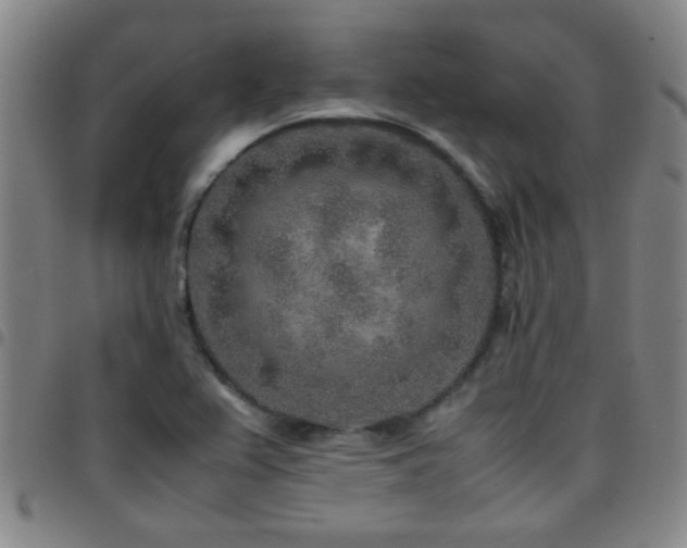 X0000097901367200803141345