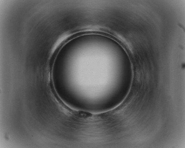 X0000097901368200803141345