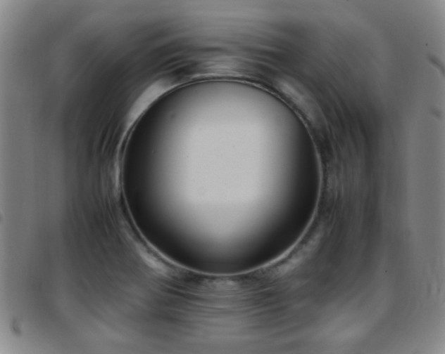 X0000097901370200803141345