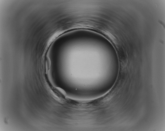 X0000097901371200803141345