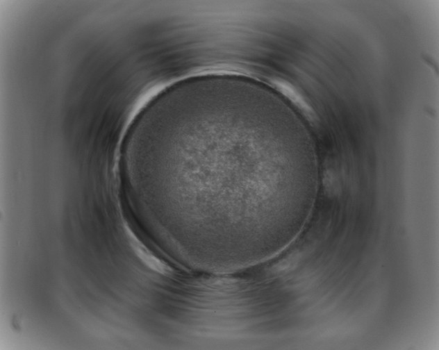 X0000097901372200803141345