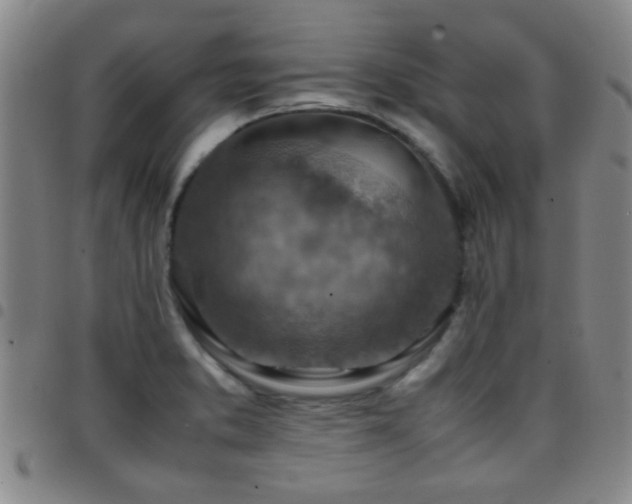 X0000097901373200803141345