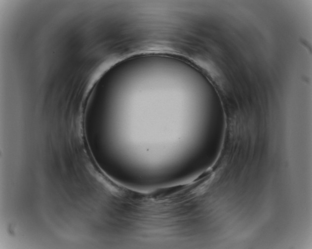 X0000097901374200803141345