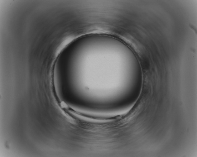 X0000097901375200803141345