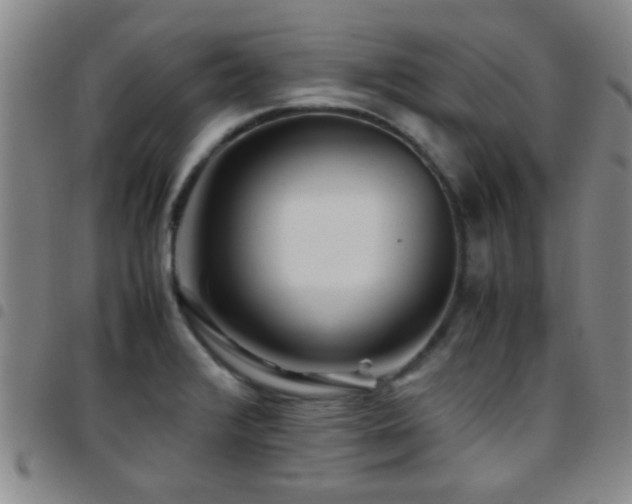 X0000097901376200803141345