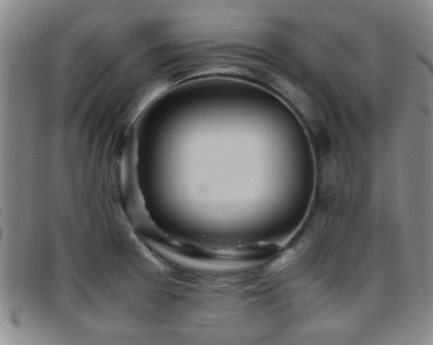 X0000097901377200803141345