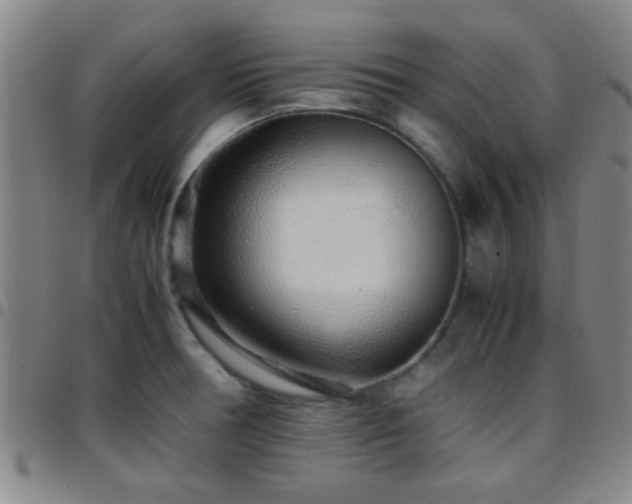 X0000097901378200803141345