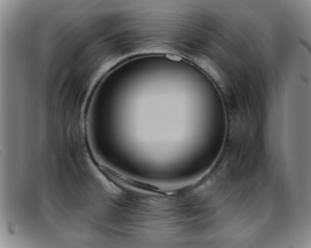 X0000097901380200803141345