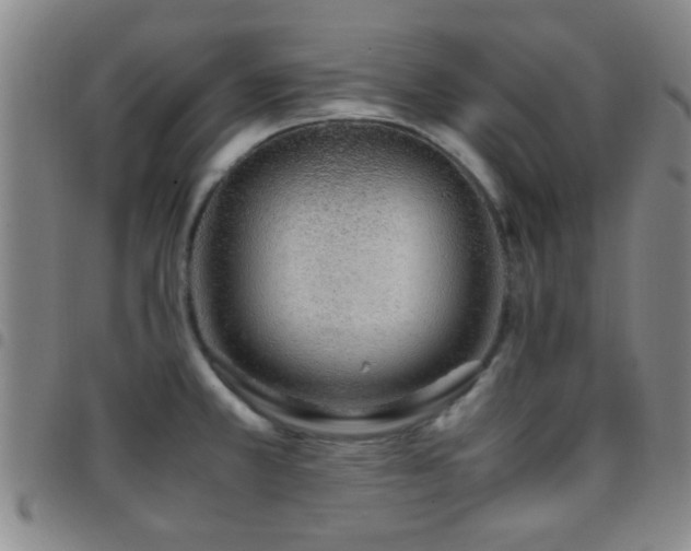 X0000097901381200803141345