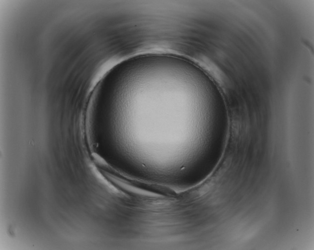 X0000097901382200803141345