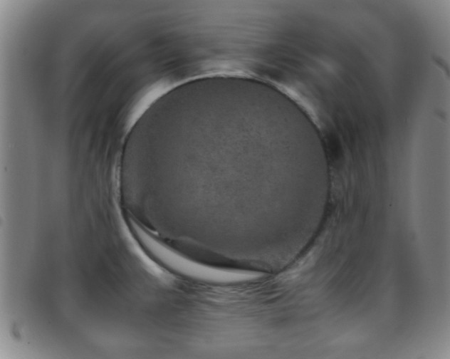X0000097901383200803141345