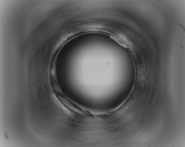 X0000097901384200803141345