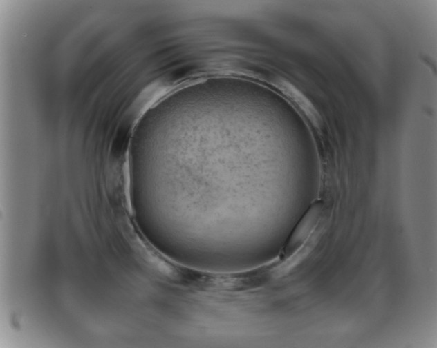 X0000097901385200803141345