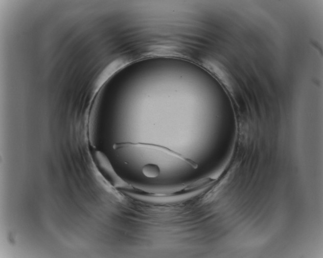 X0000097901386200803141345