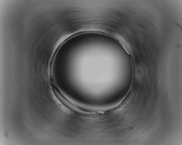 X0000097901388200803141345