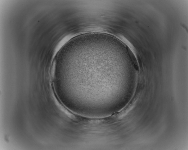X0000097901389200803141345