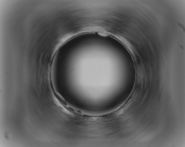 X0000097901390200803141345