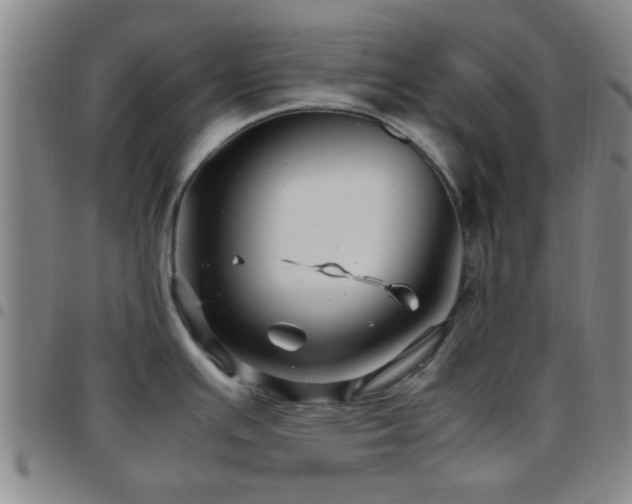 X0000097901391200803141345