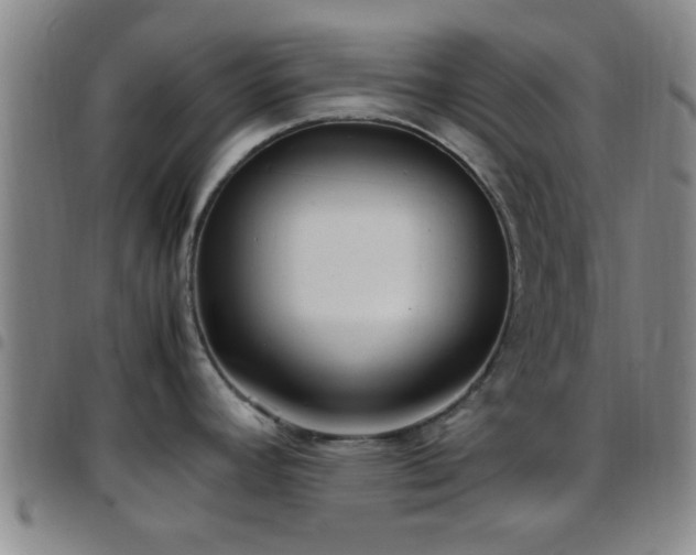 X0000097901392200803141345