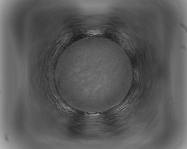 X0000097901393200803141344
