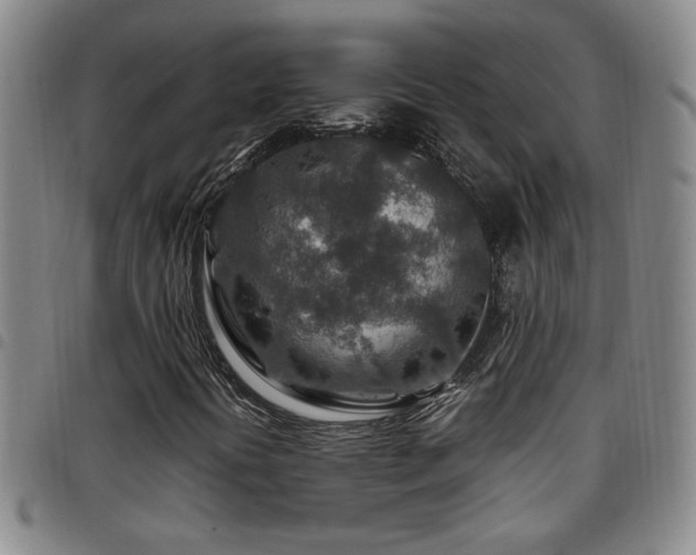 X0000097901394200803141344
