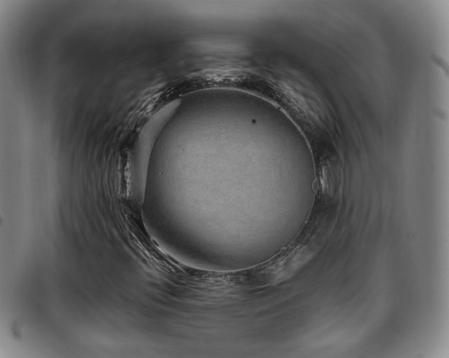X0000097901396200803141345