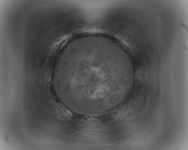 X0000097901398200803141345