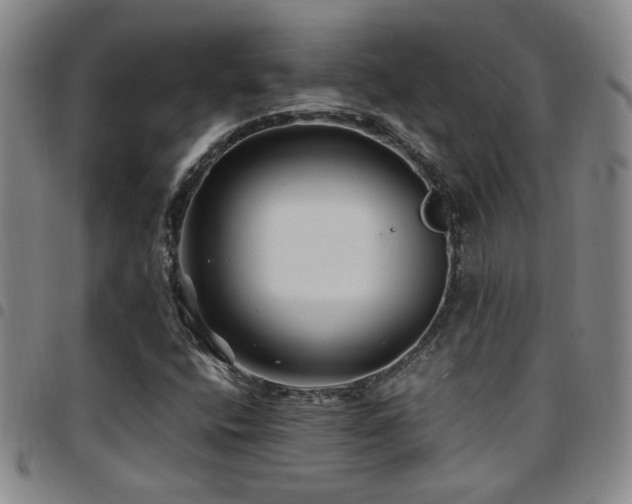 X0000097901400200803141345