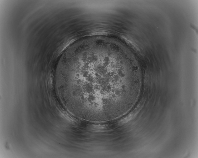 X0000097901401200803141345