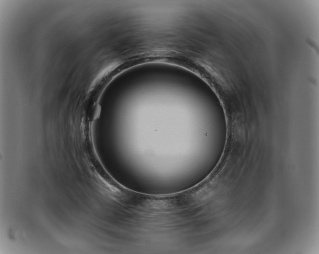 X0000097901402200803141345