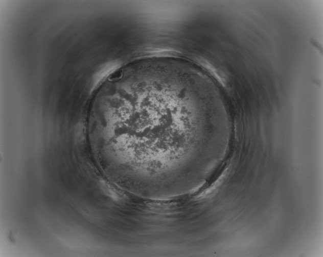 X0000097901405200803141345