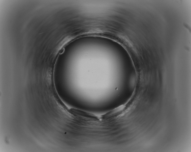 X0000097901409200803141345