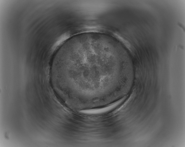 X0000097901411200803141345
