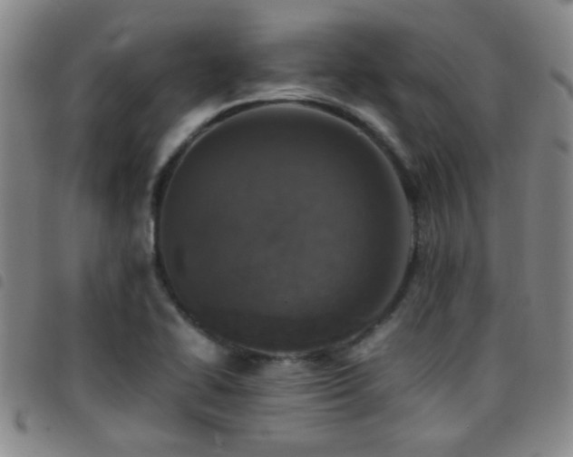 X0000097901414200803141345