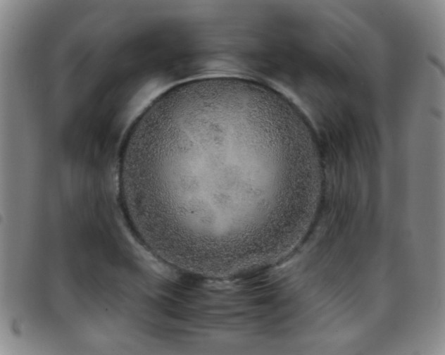 X0000097901415200803141345