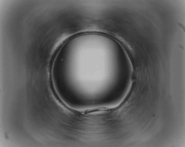 X0000097901416200803141345