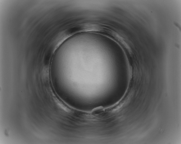X0000097901417200803141345