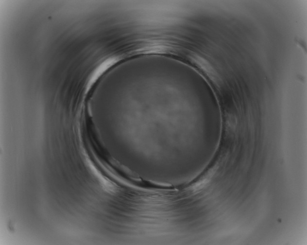 X0000097901418200803141345