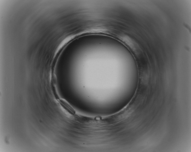 X0000097901420200803141345