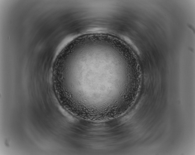 X0000097901421200803141345
