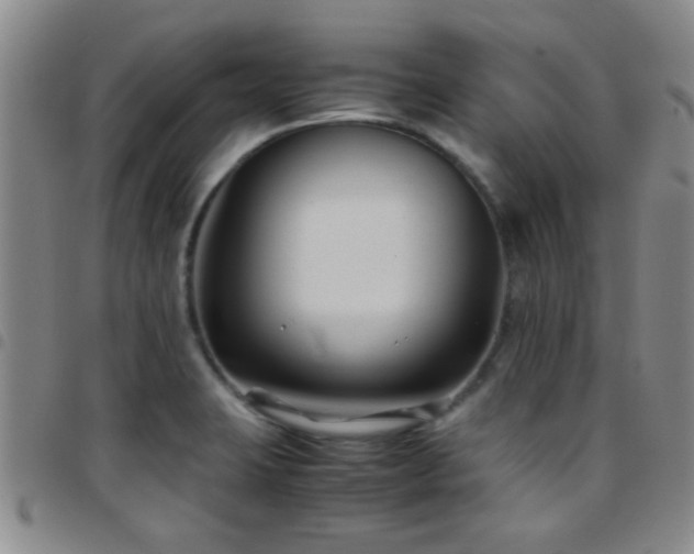 X0000097901423200803141345