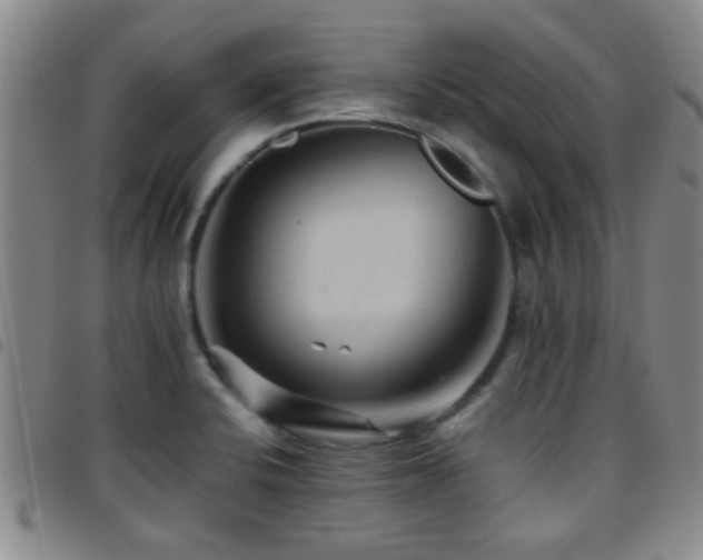 X0000097901424200803141345