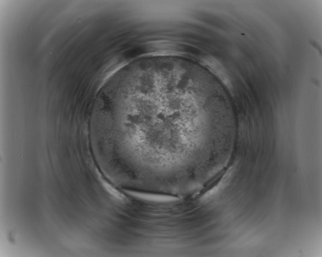 X0000097901425200803141345
