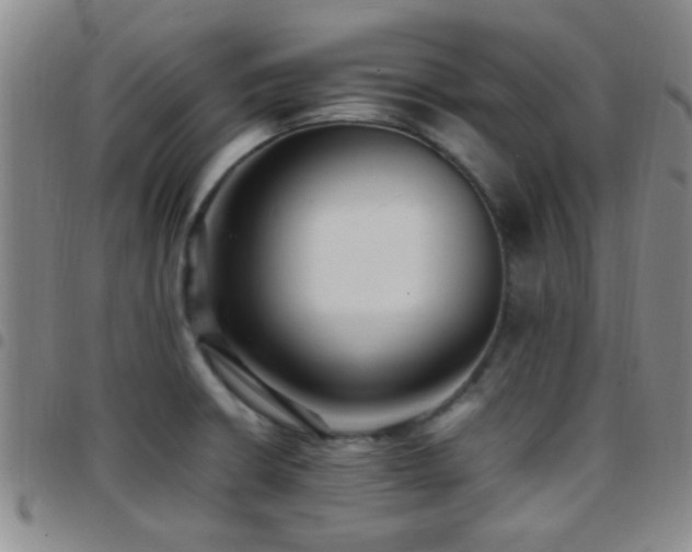 X0000097901426200803141345