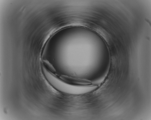 X0000097901428200803141345
