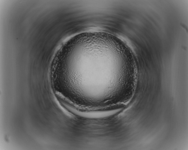 X0000097901429200803141345
